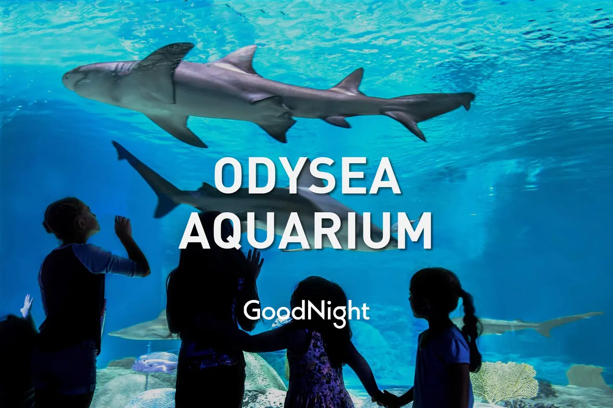 An interior scene of a large aquarium with sharks swimming and children gazing in awe at the marine life. The space feels immersive and educational, capturing the excitement and wonder of exploring marine attractions.